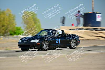 media/Jul-27-2024-Speed Ventures (Sat) [[14cea0cda4]]/Purple/Grapevine 11am/